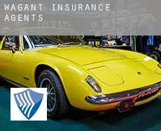 Wagant  insurance agents