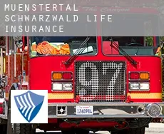 Münstertal/Schwarzwald  life insurance