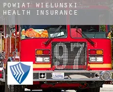Powiat wieluński  health insurance