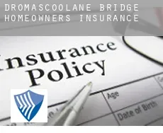 Dromascoolane Bridge  homeowners insurance
