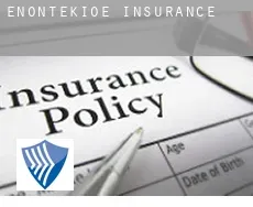 Enontekiö insurance