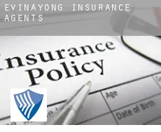 Evinayong insurance agents
