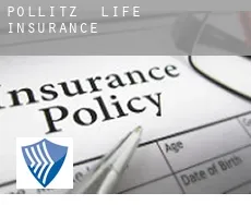 Pollitz  life insurance