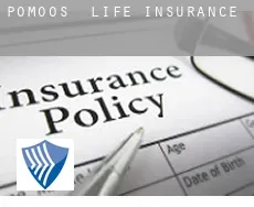 Pößmoos  life insurance