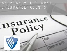 Sauvigney-lès-Gray  insurance agents