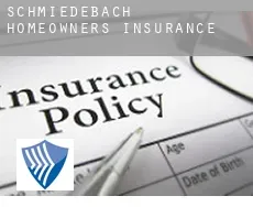 Schmiedebach  homeowners insurance