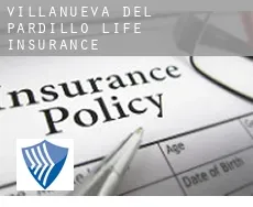 Villanueva del Pardillo  life insurance