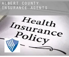 Albert County  insurance agents