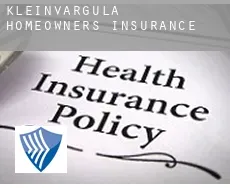 Kleinvargula  homeowners insurance