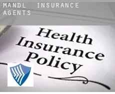 Mandl  insurance agents