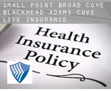 Small Point-Broad Cove-Blackhead-Adams Cove  life insurance
