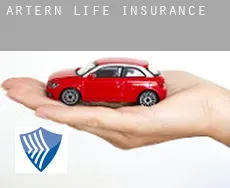Artern  life insurance