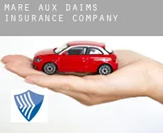 Mare aux Daims  insurance company