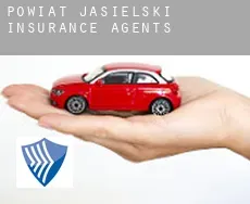 Powiat jasielski  insurance agents