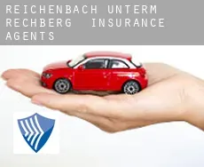 Reichenbach unterm Rechberg  insurance agents