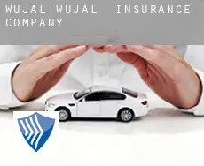 Wujal Wujal  insurance company