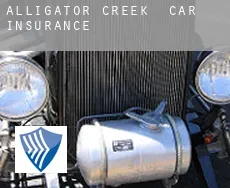 Alligator Creek  car insurance