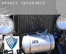 Amancy  insurance