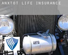 Anxtot  life insurance