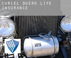 Curiel de Duero  life insurance