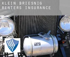 Klein Briesnig  renters insurance