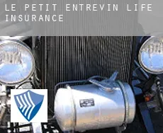 Le Petit Entrevin  life insurance