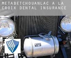 Metabetchouan–Lac-a-la-Croix  dental insurance