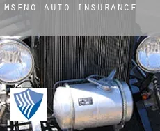 Mšeno  auto insurance
