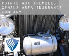 Pointe-aux-Trembles (census area)  insurance company
