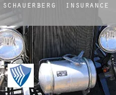 Schauerberg  insurance