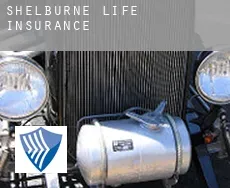Shelburne  life insurance