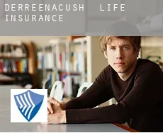 Derreenacush  life insurance