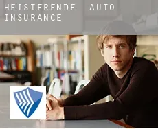 Heisterende  auto insurance