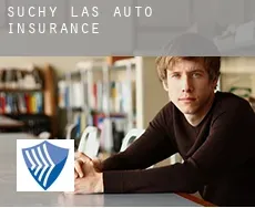 Suchy Las  auto insurance