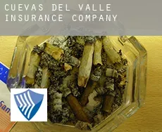 Cuevas del Valle  insurance company
