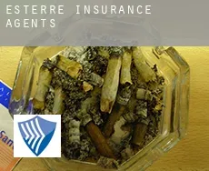 Esterre  insurance agents