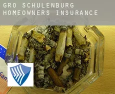 Groß Schulenburg  homeowners insurance