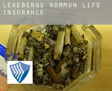 Lekebergs Kommun  life insurance