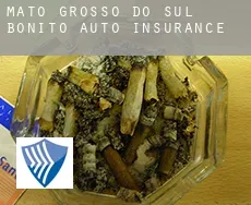 Bonito (Mato Grosso do Sul)  auto insurance
