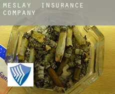 Meslay  insurance company