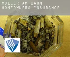 Müller am Baum  homeowners insurance