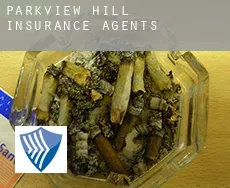 Parkview Hill  insurance agents