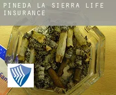 Pineda de la Sierra  life insurance