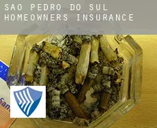 São Pedro do Sul  homeowners insurance