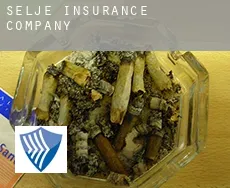 Selje  insurance company
