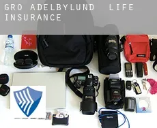 Groß Adelbylund  life insurance