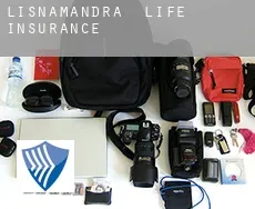 Lisnamandra  life insurance