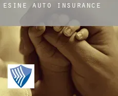 Esine  auto insurance