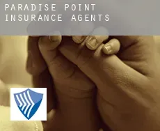 Paradise Point  insurance agents