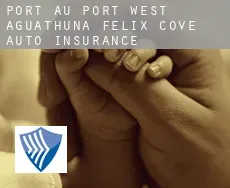 Port au Port West-Aguathuna-Felix Cove  auto insurance
